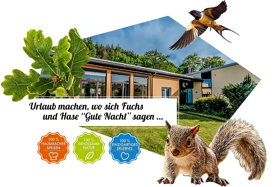 Urlaub machen wo sich Fuchs und Hase "gute Nacht" sagen